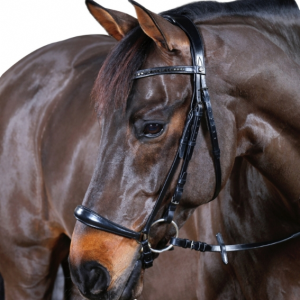 Cheval. HG Ergo Träns.