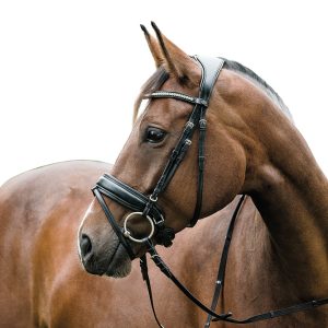 Cheval. HG Ergo Träns.